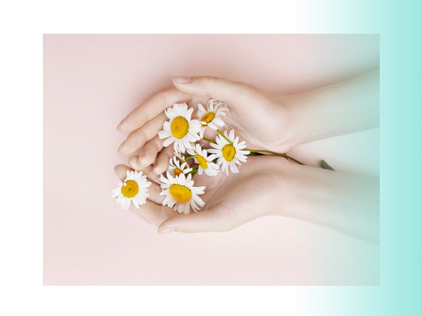 6 Benefits of Chamomile Flower Extract for Your Skin