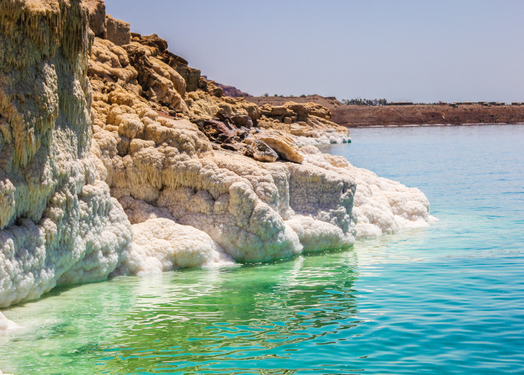 Dead sea mud mask deals