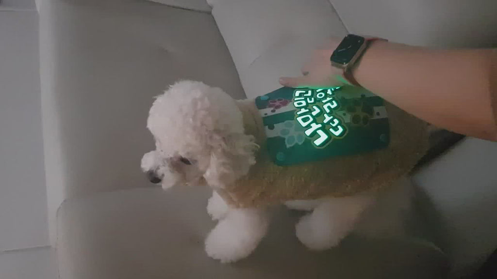 EL Lighting Pet Patch | Lummi Global video of dog